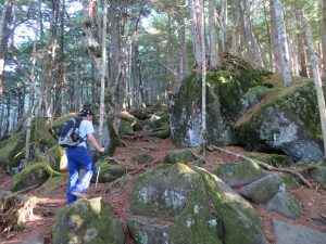 大きな岩や木の根の登山道