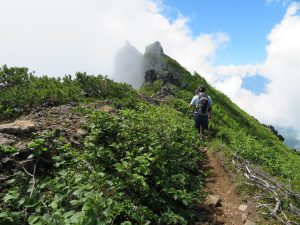 山頂の岩場までは緩やかな登りの登山道