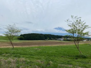 富士山が見えなければ、北海道と見間違えるような風景