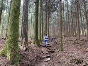 端足峠を目指しての登りが始まった