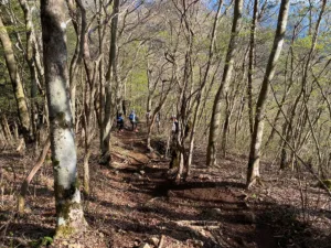 天子山地の縦走開始！