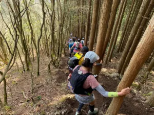 熊森山山頂からの激下りもコバンザメ作戦