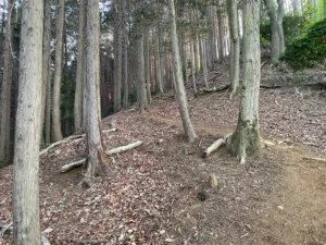 山頂直下の超急登で、急に胃が気持ち悪くなってきた…