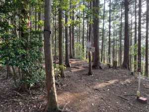 新柵山山頂（標高490m）