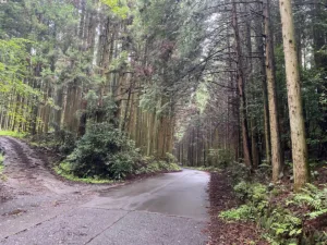 緩やかな登り勾配が続くようになってきた