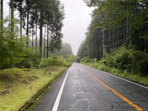 久しぶりの登りは全く走れず…