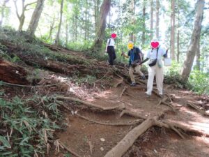 小仏峠までは、足元は木の根が張り巡らされた下り