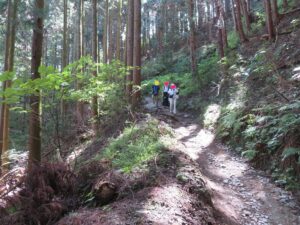 小仏峠から先は、登山道には小さな岩が転がっている