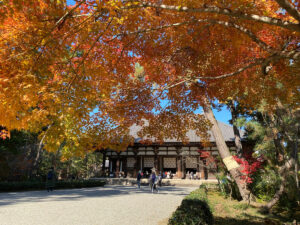 唐招提寺：紅葉の向こうに金堂