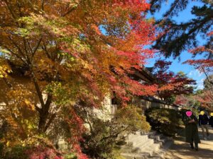 唐招提寺：紅葉が映える唐招提寺の境内