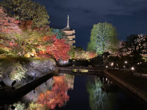 東寺：五重塔を中心とした紅葉のライトアップ①