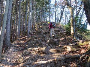 滝ノ平尾根合流点（岩茸石）からは岩場と階段が続く…