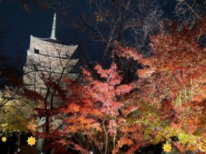 東寺：五重塔を中心とした紅葉のライトアップ③