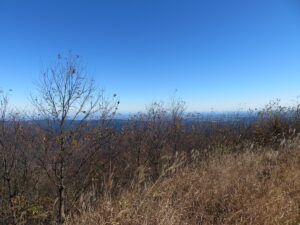 関東平野の街並みや北部の峰々といった大展望が広がる