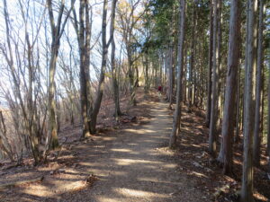 稜線を辿ったり、山腹をトラバースするようなルート