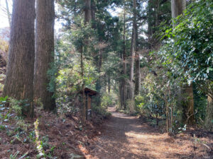 旧東海道杉並木