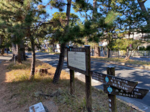 東海道松並木