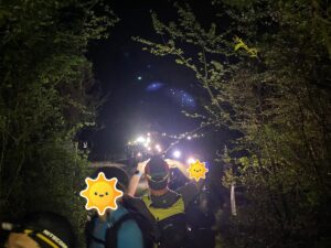 後ろを振り返ると、ズラーーーッとヘッドライトの行列
