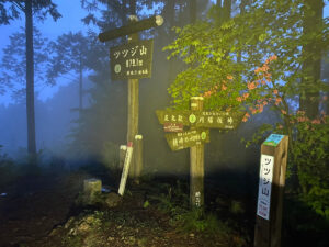 ツツジ山山頂(標高879m)