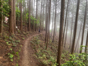 大築山山頂からの下りは気持ち良く走ることが出来る