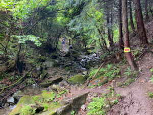 沢沿いに進みながら何度か渡渉を繰り返す