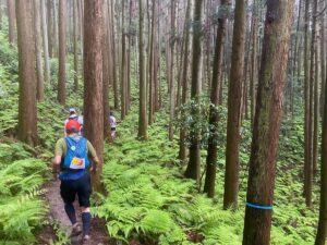 シダが生い茂る中、徐々に軽快に走ることが出来るように…