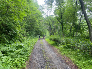 緩やかな登りはなるべく走る