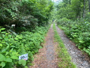 20Kmを過ぎると、下りが続くようになってきた