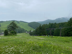 ファミリースキー場を下って行く