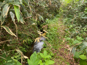 この沢水で息を吹き返し、地獄の底から蘇る