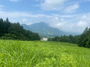 スキー場は日陰がなく、モロに陽射しを浴びる