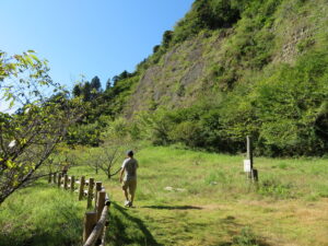 桜の広場