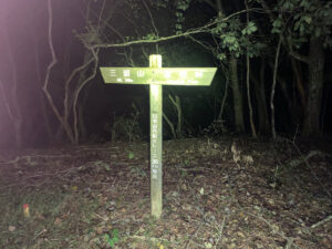 30Km地点を通過