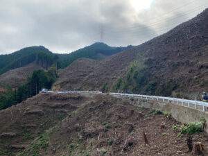 入山峠からは盆堀林道を八王子側に約3Km下る