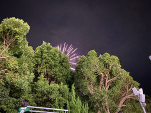 木が邪魔で、花火がほとんど見えない…